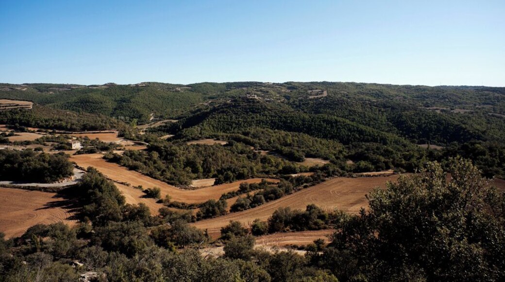 Lloberola des de Santa Maria