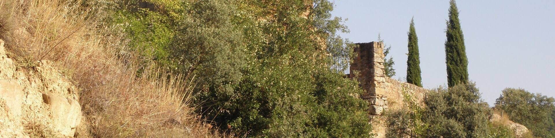 La façana principal i la tĂ pia del cementiri de l'esglĂ©sia vella de Sant Jaume, al poble de Sallent (municipi de Sallent de SolsonĂšs) vista des del camĂ de Sant Climenç a SanaĂŒja. Darrere l'esglĂ©sia, el cementiri.