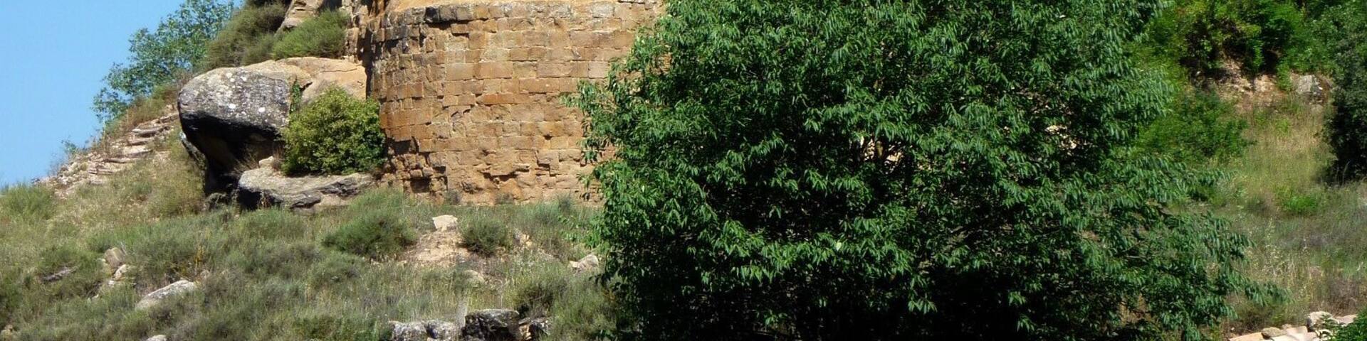 A historical stone castle on a hill with surrounding vegetation.