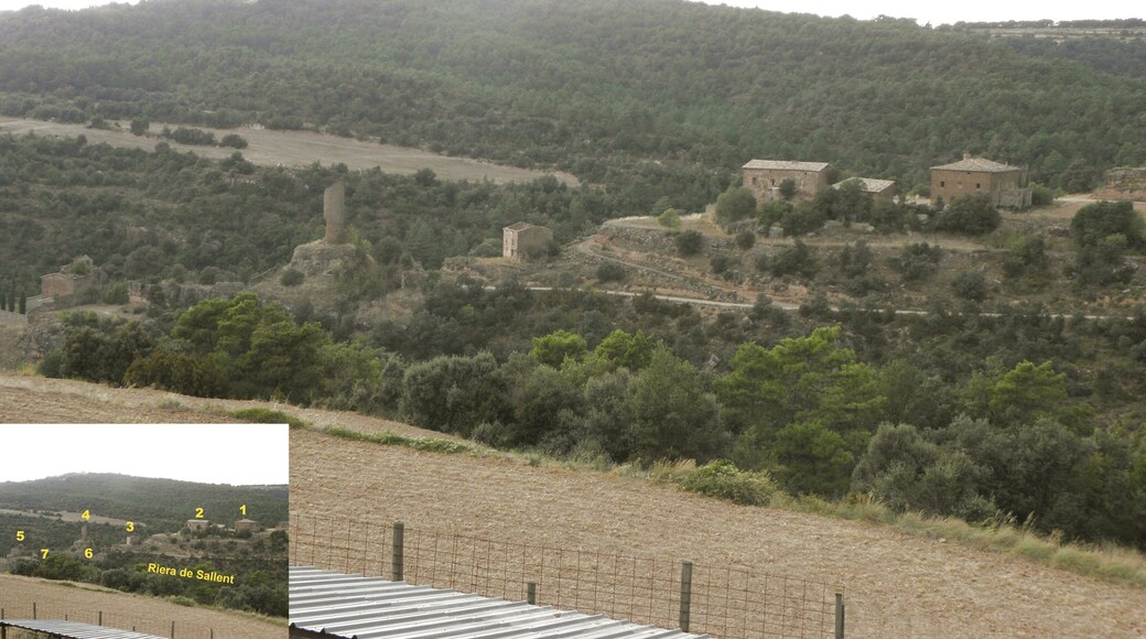 El poble de Sallent, al municipi de Pinell de Solsonès vist des de la masia de Cucurull (Lloberala, municipi de Biosca) LLEGENDA 1 → Rectoria i església nova 2 → Cal Batlle 3 → Cal Capità 4 → Torre de guaita 5 → L'església vella 6 → Cal Sargantalla 7 → Cal Canut.