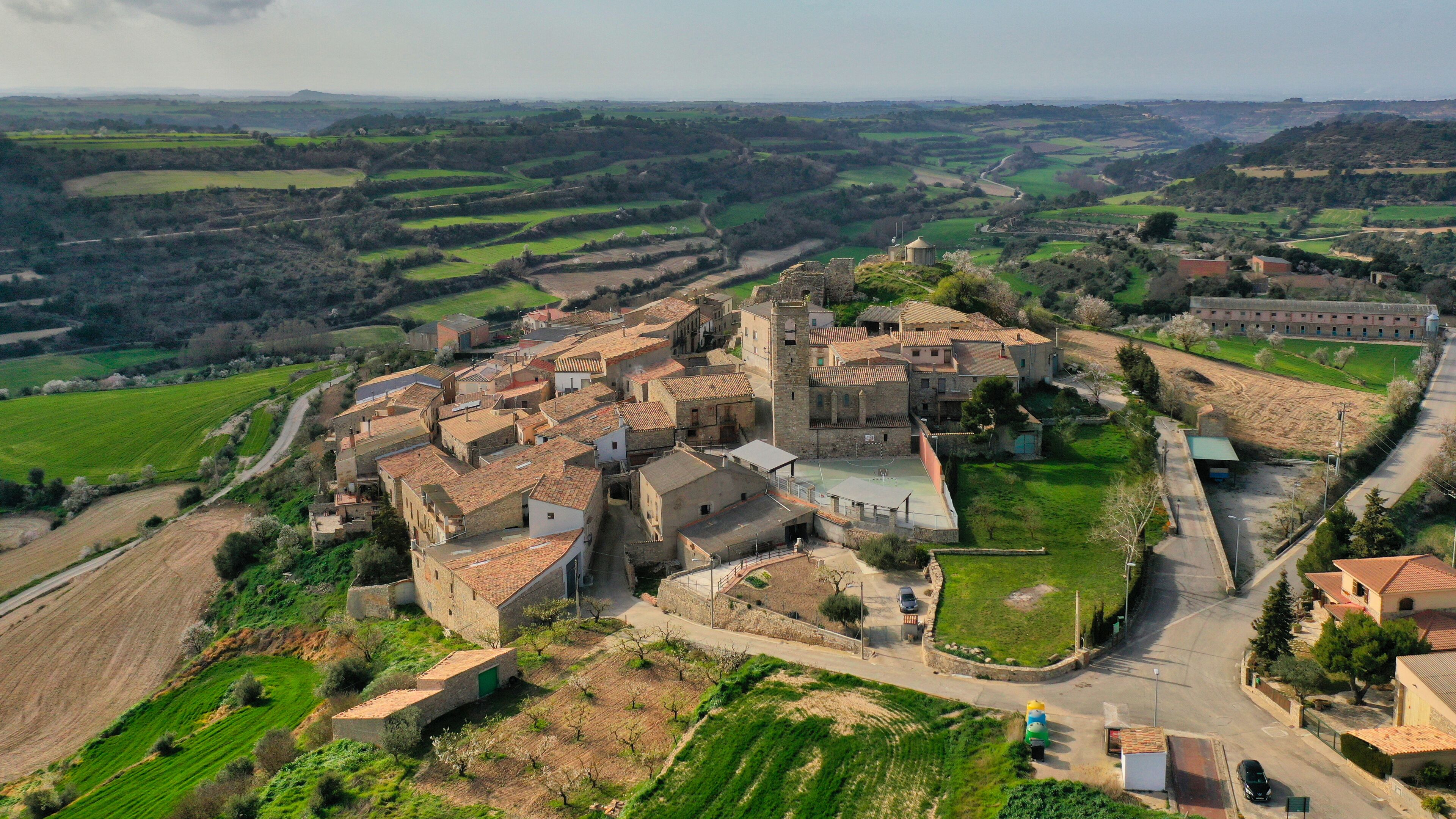 A historic village with stone buildings, a castle, and surrounding green fields.