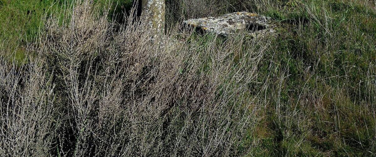 Creu de terme IV (Torrefeta i Florejacs)