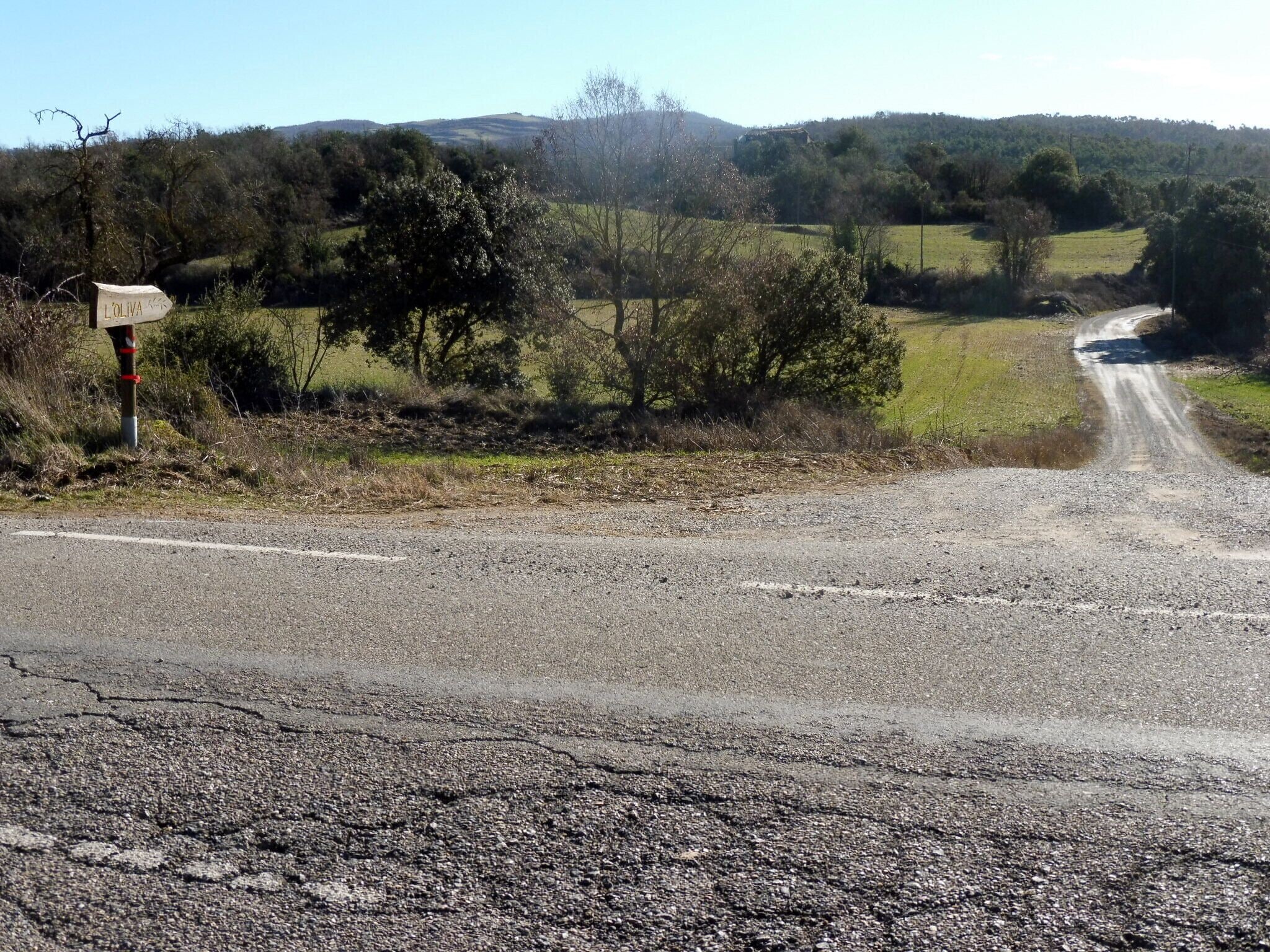 Trencall a l'Oliva d'Ardèvol des de la carretera de Torà a Ardèvol