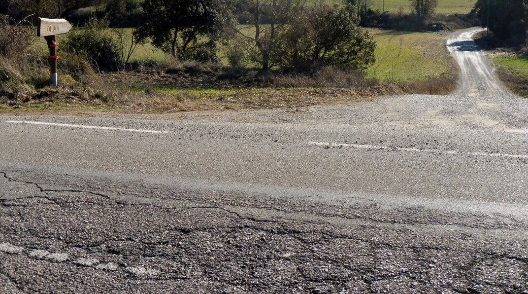 Trencall a l'Oliva d'Ardèvol des de la carretera de Torà a Ardèvol