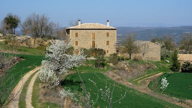 A stone house with a tiled roof surrounded by green fields and a clear blue sky.