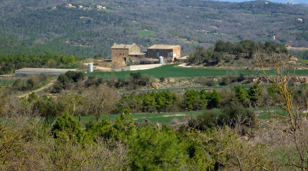 Masies de Les Viles i Puigcernau (Torà)