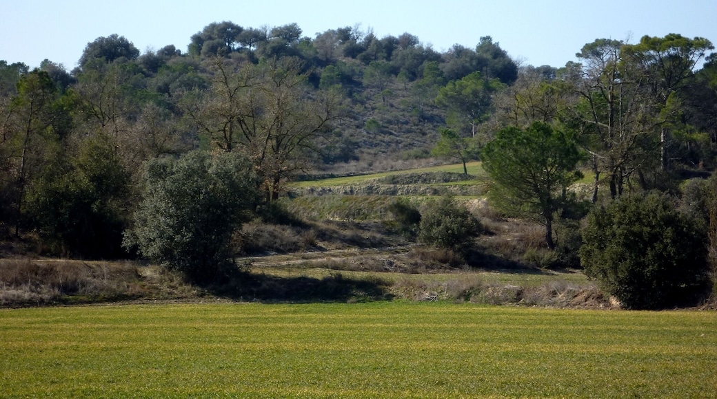This is a a photo of a natural area in Catalonia, Spain, with id: