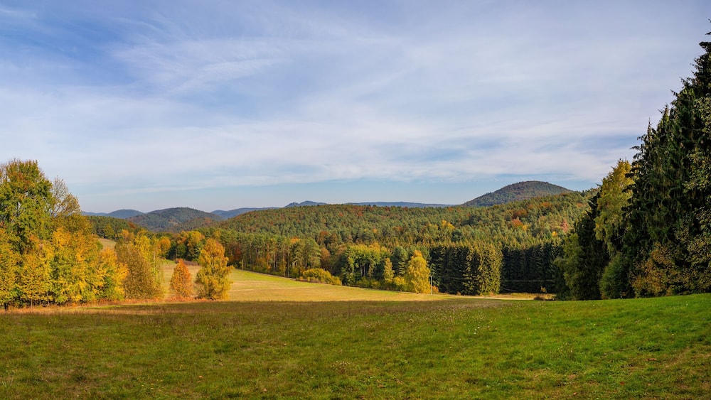 Panoramablick Pfälzerwald bei Bundenthal