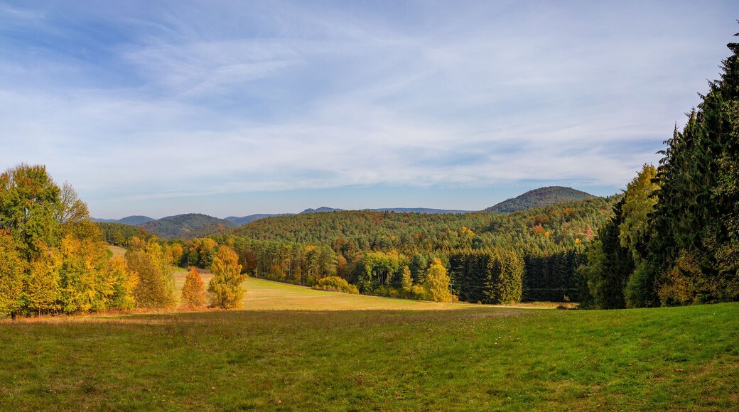 Panoramablick Pfälzerwald bei Bundenthal