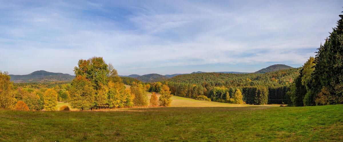 A grassy field with autumn-colored trees and distant mountains.