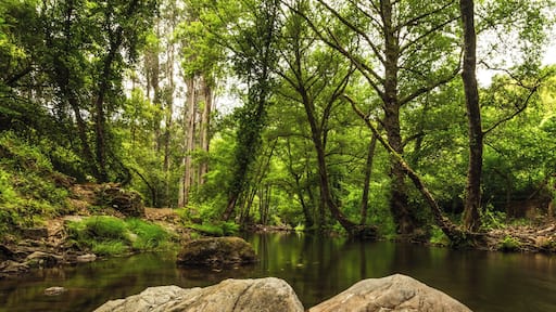 The valley of the river Alge forms a series of lovely forests where the green is the main tone and can be accessed by car.
#BvSCrete
I wanna join BVS at the Crete Photography Clinic to improve my photography in ways I cannot archive on my own, for meet and hang out with BVS and, of course, to travel!