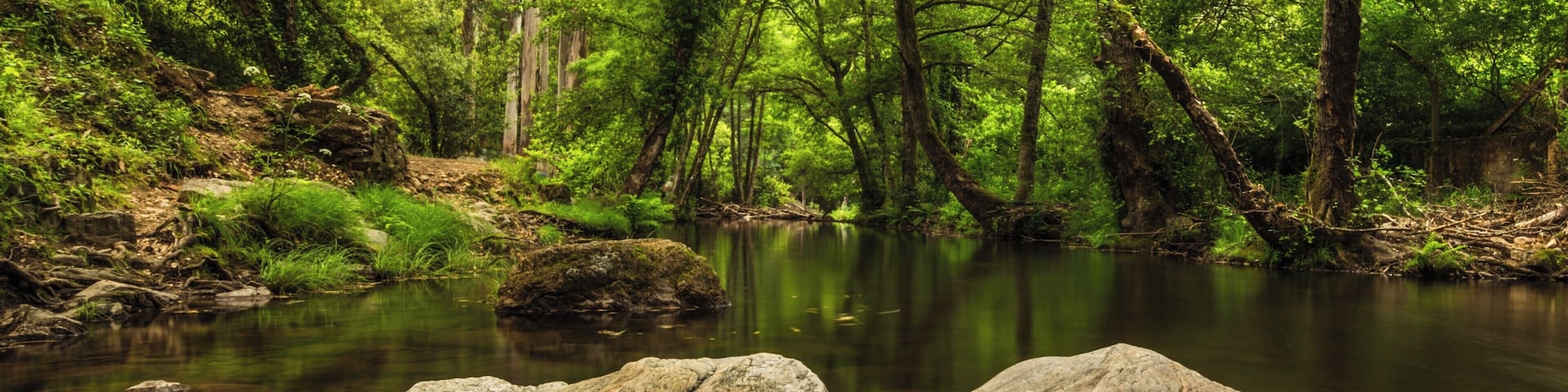 The valley of the river Alge forms a series of lovely forests where the green is the main tone and can be accessed by car.
#BvSCrete
I wanna join BVS at the Crete Photography Clinic to improve my photography in ways I cannot archive on my own, for meet and hang out with BVS and, of course, to travel!