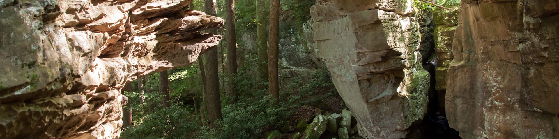 Split Bow Arch in Big South Fork National River and Recreation Area near Stearns, Kentucky.
