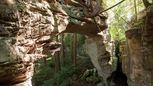 Split Bow Arch in Big South Fork National River and Recreation Area near Stearns, Kentucky.