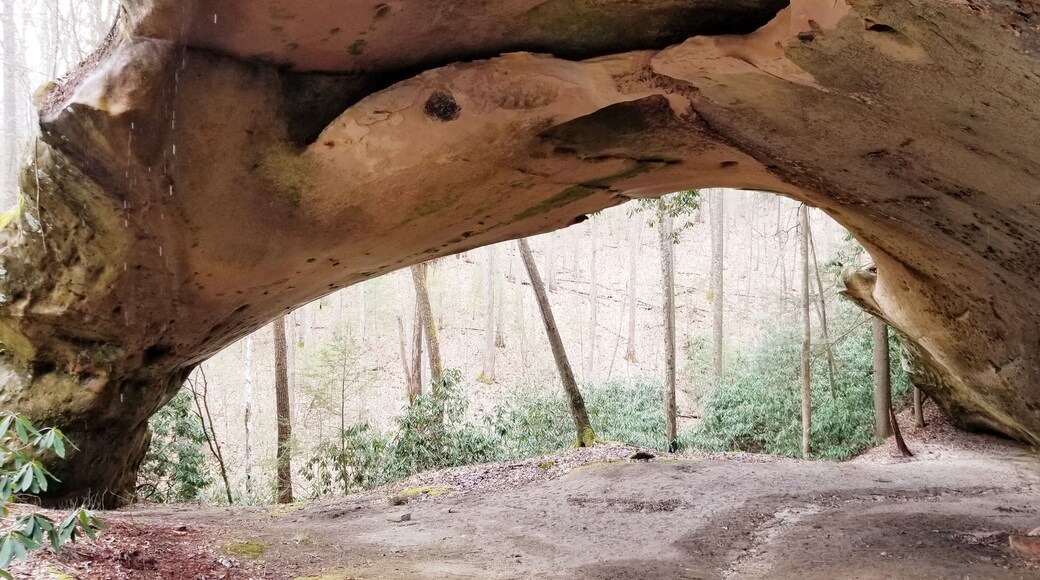Story is Native Americans gave this arch its name because they used its height as an advantage when hunting buffalo .. It is quite awesome.. (2/19)