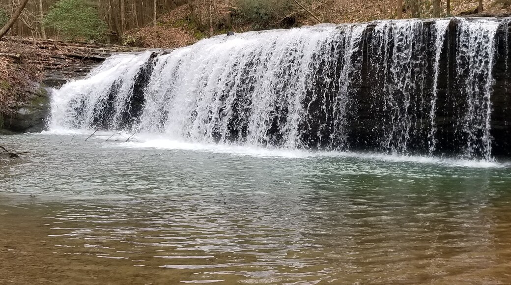 Waterfalls soothe the soul.. This hidden gem was beautiful today.. (2/19)