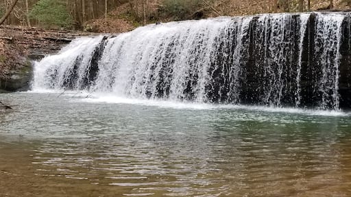 Waterfalls soothe the soul.. This hidden gem was beautiful today.. (2/19)
