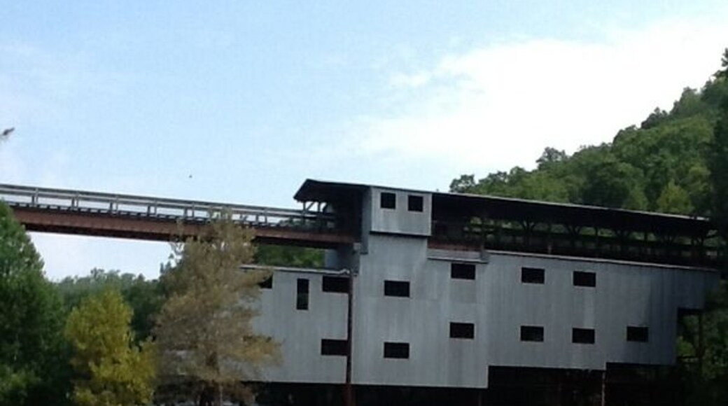 Blue Heron, also known as Mine 18, is an abandoned coal mining town and was a part of the Stearns Coal and Lumber Company's past operation. The Blue Heron mines operated from 1937, until December, 1962, when operations were no longer profitable. During that time, hundreds of people lived and worked in this isolated community on the banks of the Big South Fork River. Their story is the the story of Blue Heron.