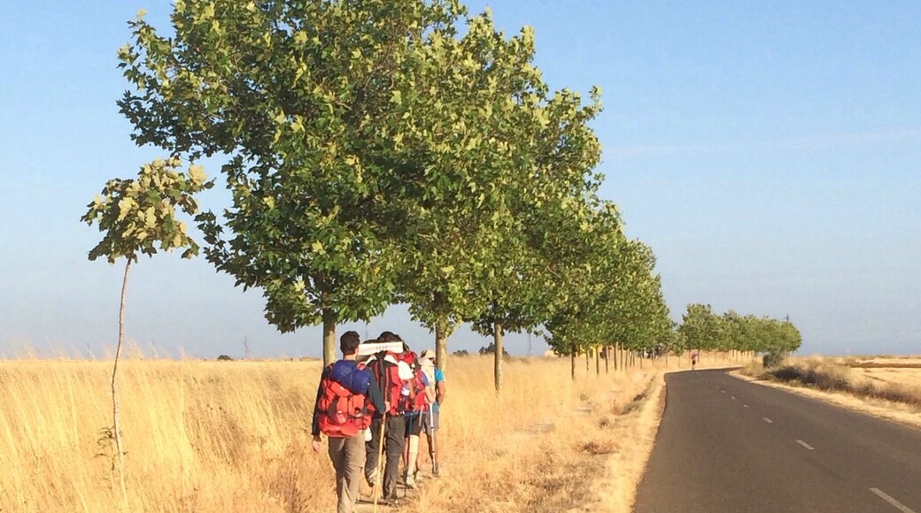 Follow the yellow arrows ever westward across the #meseta of the #camino de Santiago de Compstela, Spain or Way of St. James. I was honored to serve as hospitalera in this town's albergue for pilgrims. Ask me your camino questions! #trekking #hiking #explore #BvSExplore