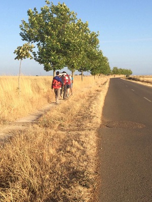 Follow the yellow arrows ever westward across the #meseta of the #camino de Santiago de Compstela, Spain or Way of St. James. I was honored to serve as hospitalera in this town's albergue for pilgrims. Ask me your camino questions! #trekking #hiking #explore #BvSExplore