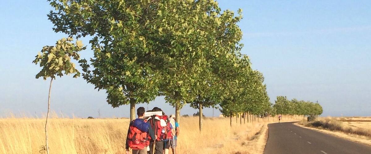 A group of hikers walking along a roadside with dry grass and trees.