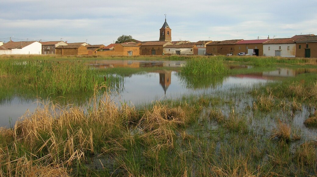El Burgo Ranero - En los alrededores del pueblo encontramos numerosas charcas repletas de ranas. La que vemos en la foto es una de las más grandes. Se dice que de ahí deriva el apellido de la población.