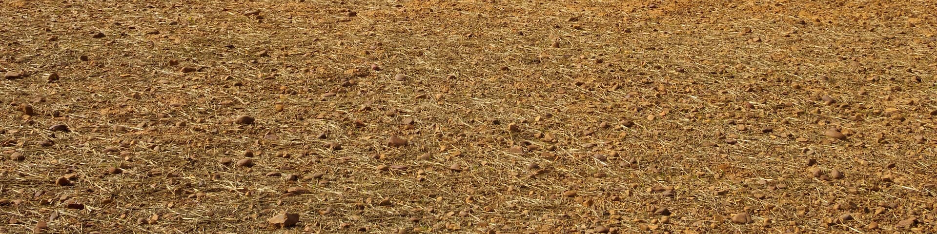 Patch of blue sky - Calzadilla de los Hermanillos