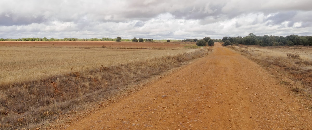 A dirt road leading through a dry, open landscape with sparse trees and a cloudy sky.