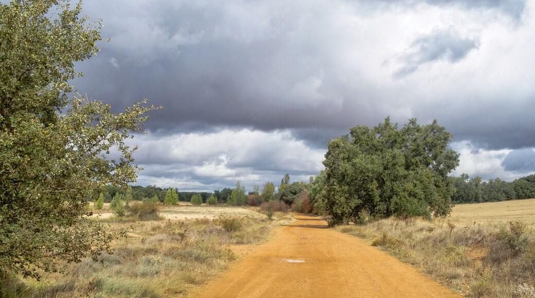 Calzadilla de los Hermanillos