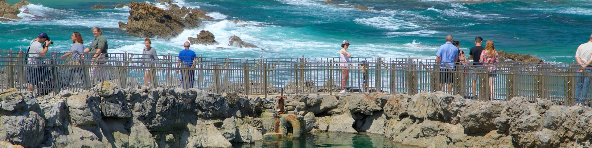 Magdalena Peninsula showing general coastal views and a beach as well as a small group of people