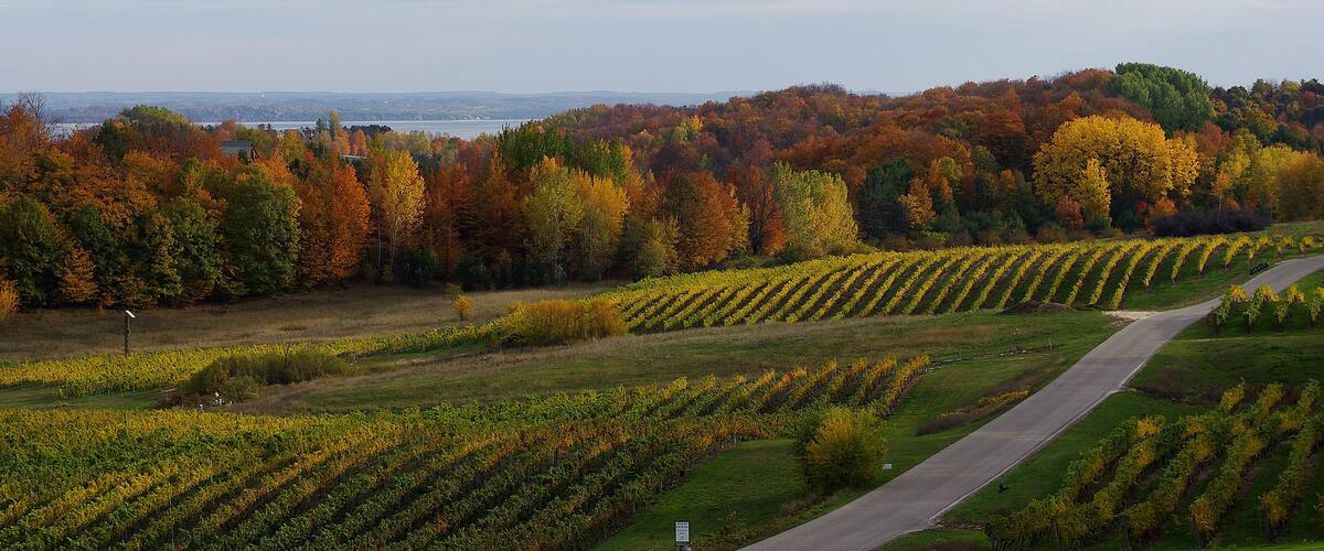The peninsula is Michigan's version of Napa. Not as big but it makes some pretty good wines.