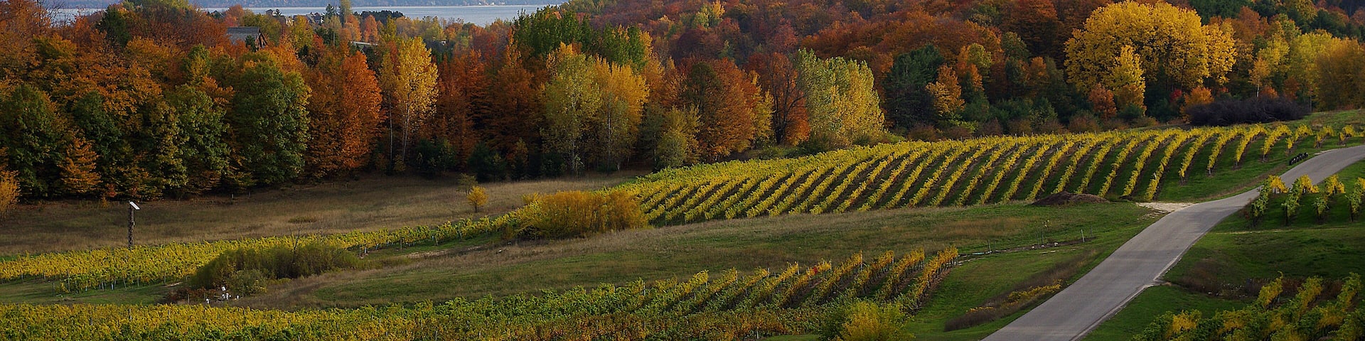 The peninsula is Michigan's version of Napa. Not as big but it makes some pretty good wines.