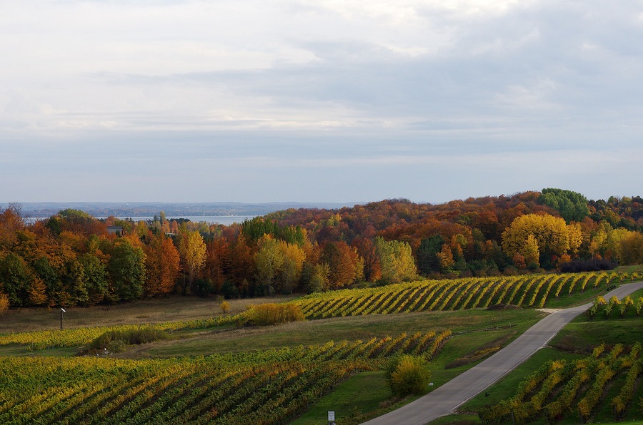 The peninsula is Michigan's version of Napa. Not as big but it makes some pretty good wines.