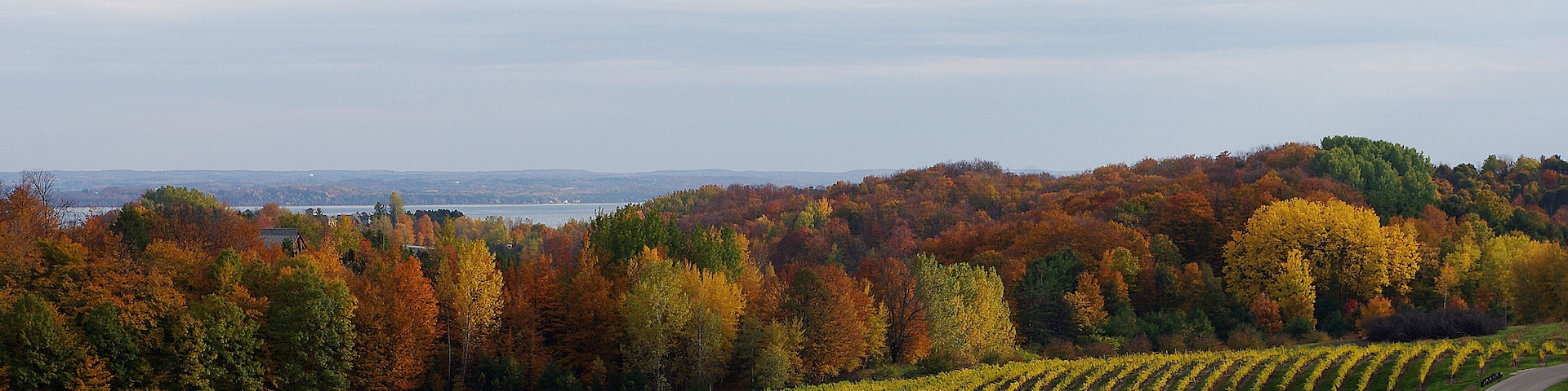 The peninsula is Michigan's version of Napa. Not as big but it makes some pretty good wines.