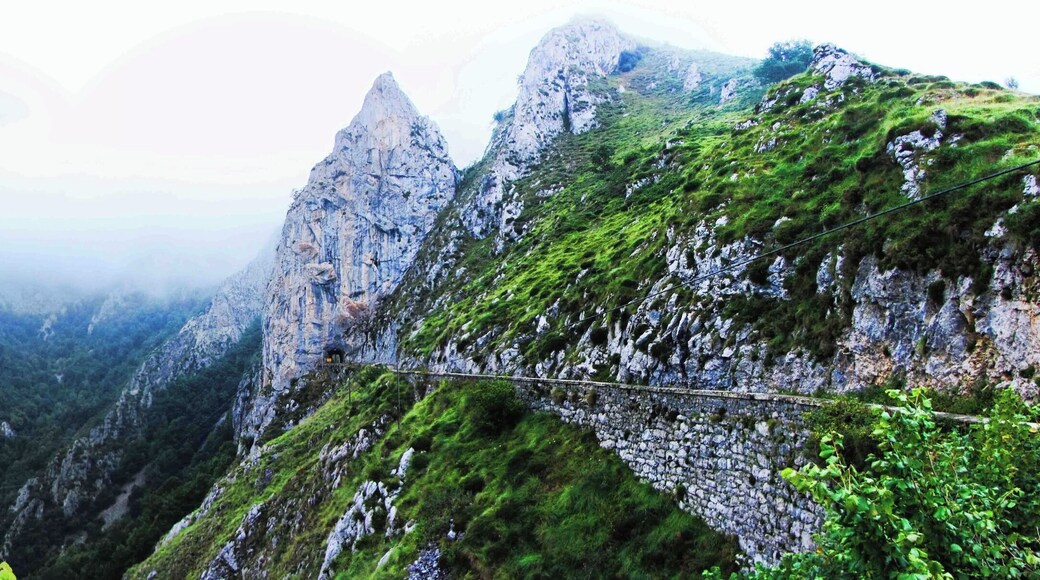 Mirador de la Alegría.