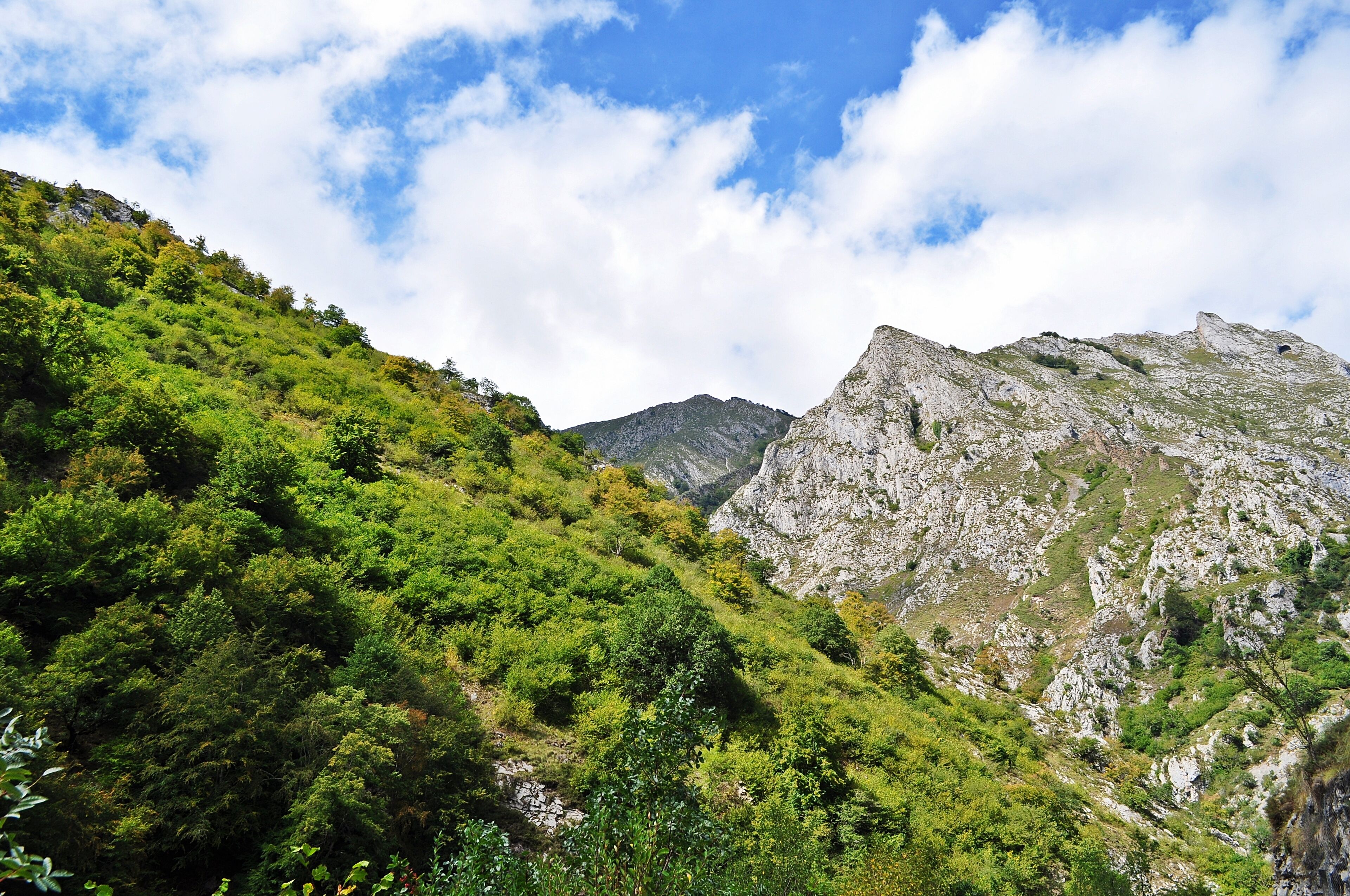 "Mucho más escarpado ..."
