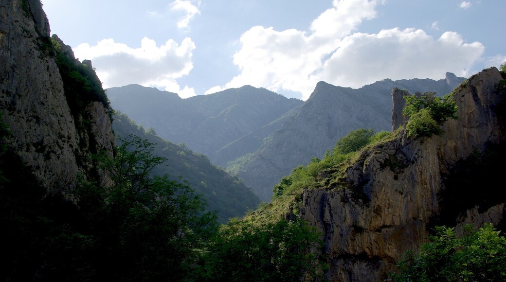 Driving through the Picos