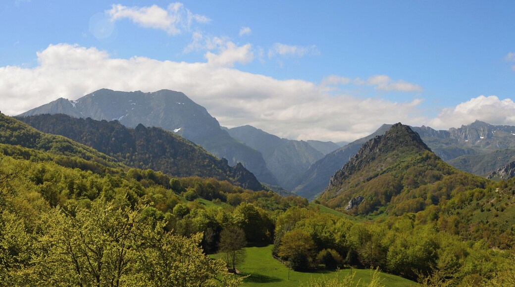 Picos Panorama - Phenomenal colours