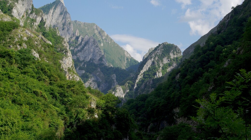 Driving through the Picos