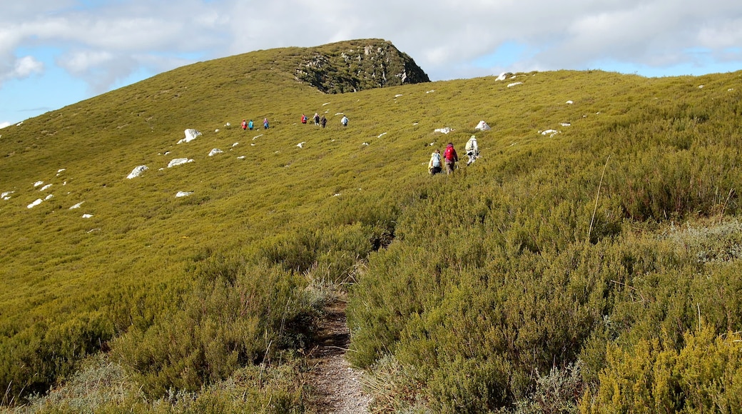 This is a photography of a Site of Community Importance in Spain with the ID: