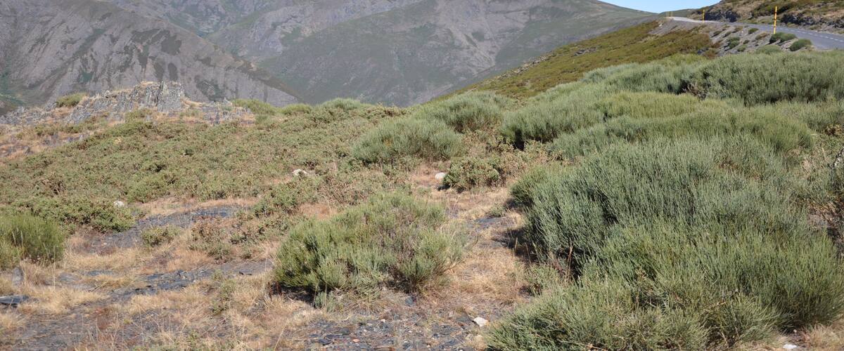 A mountainous landscape with a winding road and sparse vegetation.