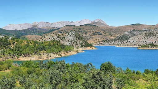 A lake surrounded by mountains and dense green forest.