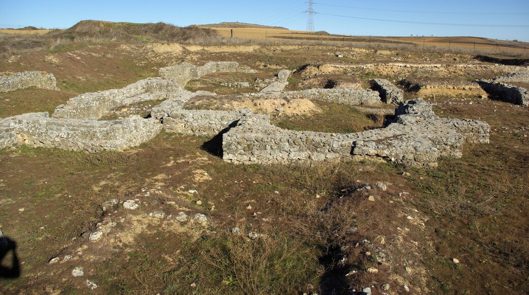 Archaeological site of Lancia ancient city, Villasabariego (LeĂłn, Spain).