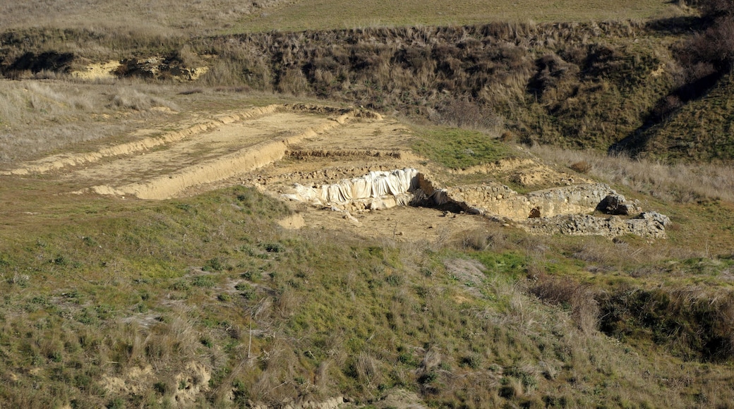 Archaeological site of Lancia ancient city, Villasabariego (LeĂłn, Spain).