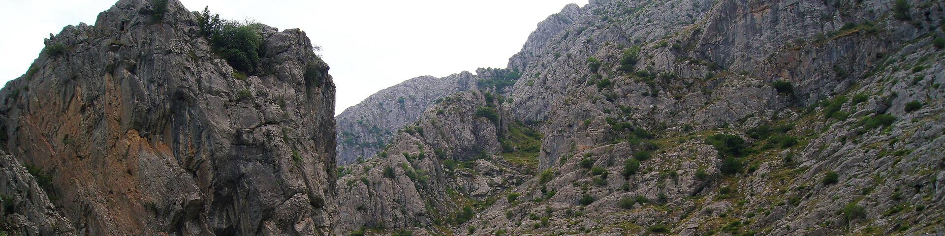 Hoces de Vegacervera - León