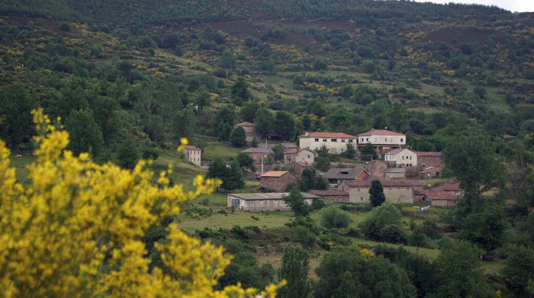 La Braña. (Valdelugueros, León, Spain).