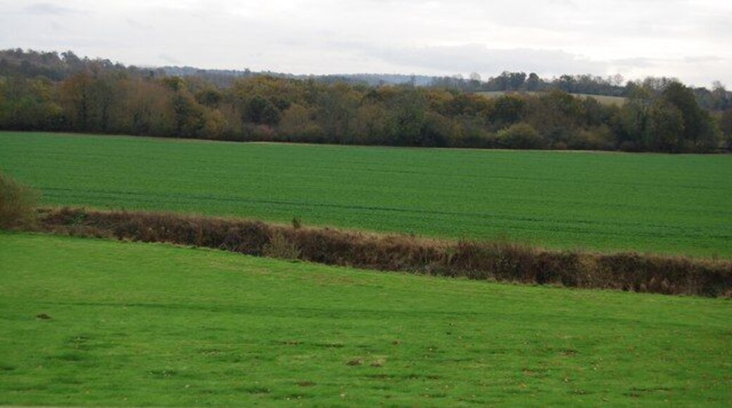 Fields from the Wealdway