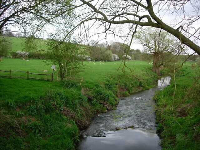 A narrow stream in a rural area with a wooden fence and sheep grazing in the background.