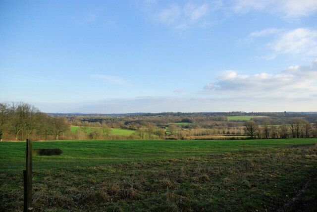 View from Wick Wood Viewed from the footpath corner by Wick Wood.