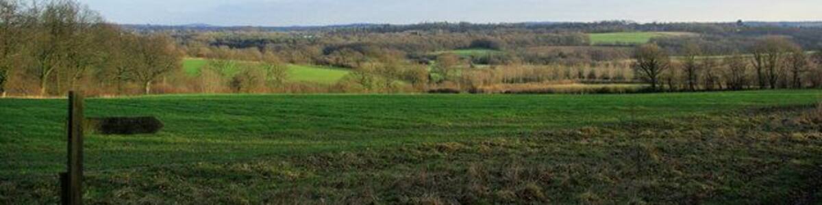 View from Wick Wood Viewed from the footpath corner by Wick Wood.